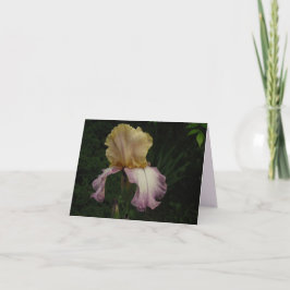 Cartão Imagem Floral do Creme Purple Iris