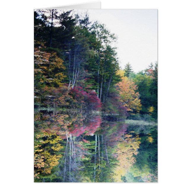 Cartão "Imagem invertida " (Frente)