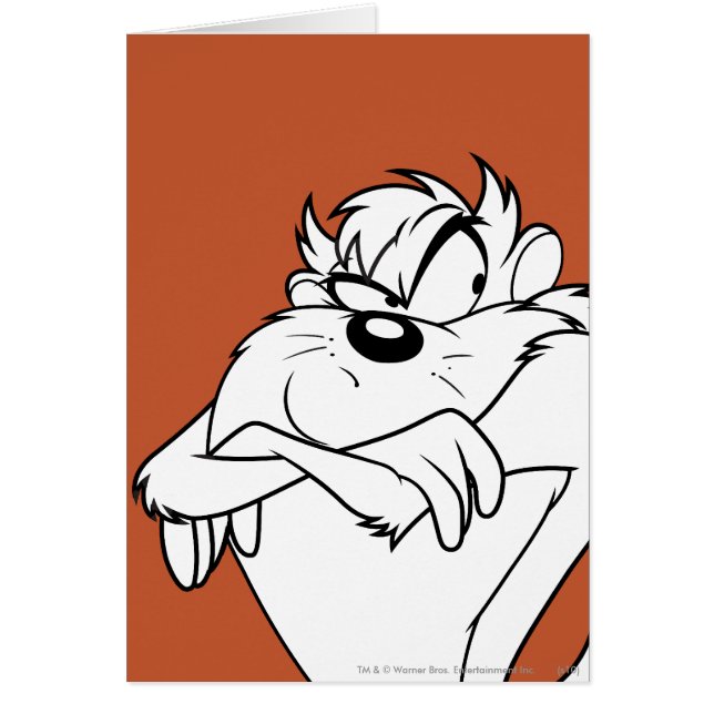 Cartão Imagem TAZ™ (Frente)