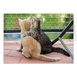 Cartão Imagens de Getty dois gatinhos em um balcão
