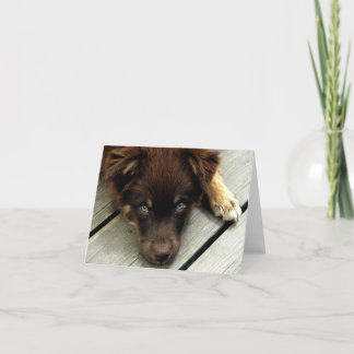 Cartão Imbecil Notecard