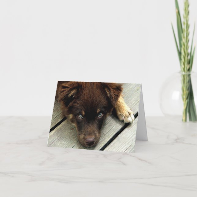 Cartão Imbecil Notecard (Frente)