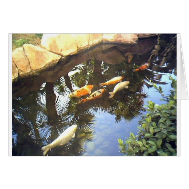 Cartão img1173.JPG (Frente Horizontal)