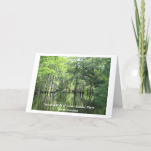 Cartão Img_0027, Rio de madeira nacional selvagem e cênn