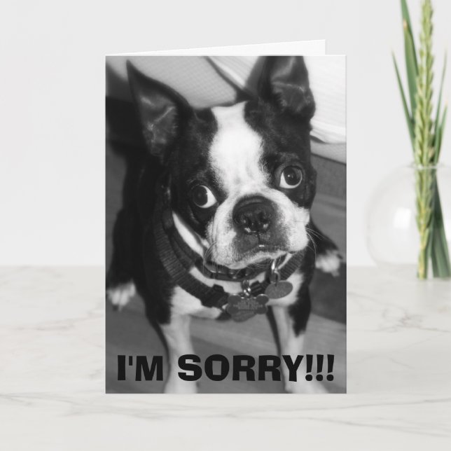 CARTÃO IMG_0932, DESCULPE!! (Frente)