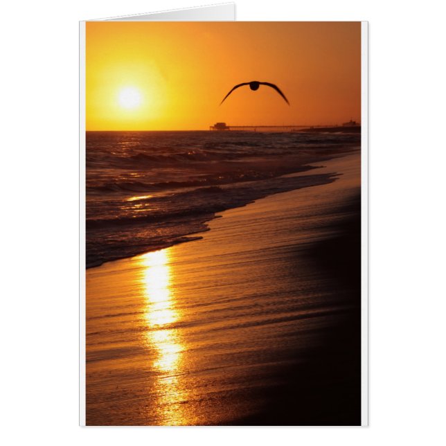 CARTÃO IMG_1802_1 (Frente)