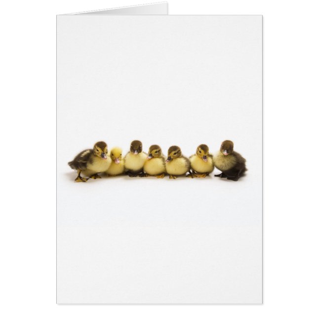 CARTÃO IMG_4992 (Frente)