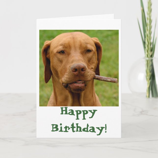 Cartão IMG_6106Fo'get About It!, Parabéns! (Frente)