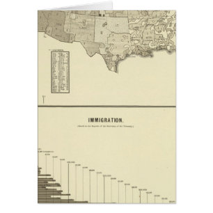 Cartão Imigração Francesa