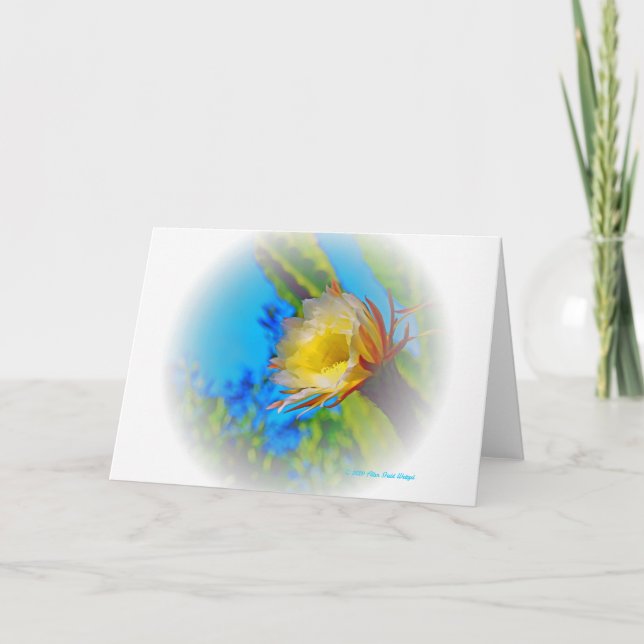 Cartão Impressão "Cactus Flower #73" (Frente)