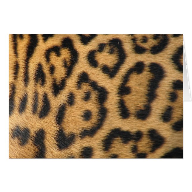 Cartão Impressão de Leopardo (Frente Horizontal)