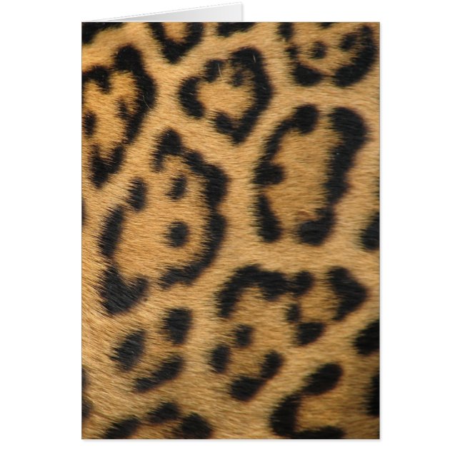 Cartão Impressão de Leopardo (Frente)