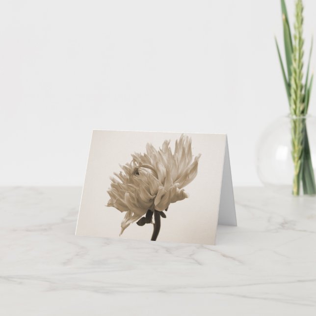 Cartão impressão do sepia da dália (Frente)