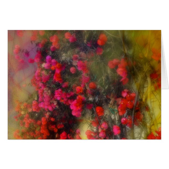 Cartão impressionista Bougainvillea (Frente Horizontal)