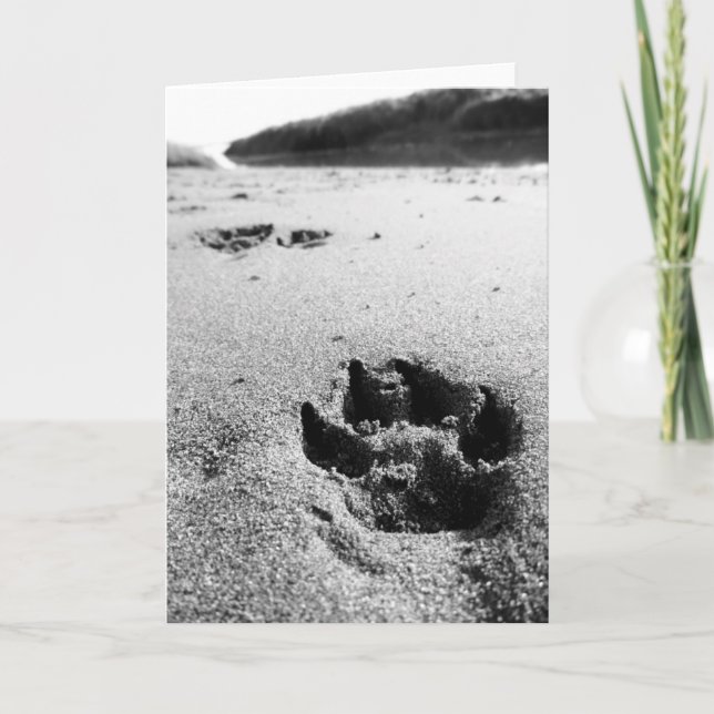 Cartão Impressões (Frente)