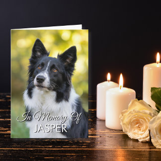 Cartão In Memory Of Pet Memorial Sympathy Custom Photo