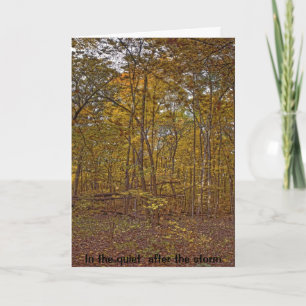 Cartão In the quiet after the storm sympathy card
