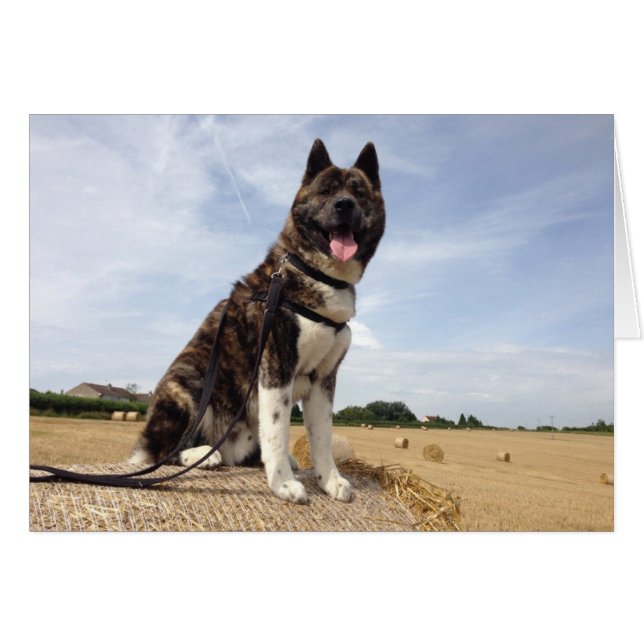 Cartão Inca em Somerset (Frente Horizontal)