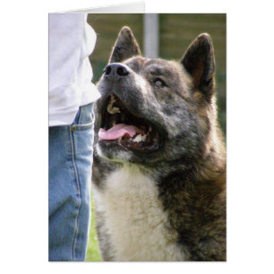 Cartão Inca que olha acima