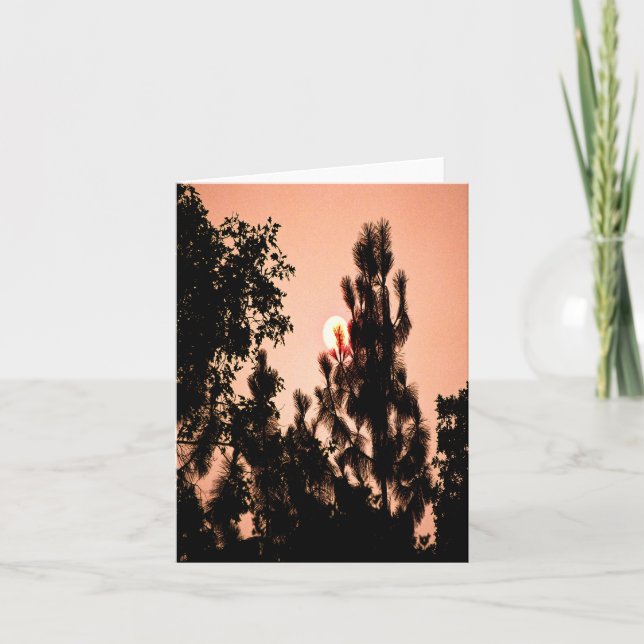 Cartão Incêndio no Vale do Índio..... (Frente)