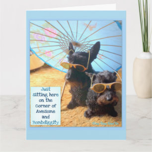 Cartão Incrível e Bombardeio