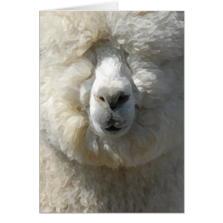 Cartão Incrível Gandalf, a alpaca