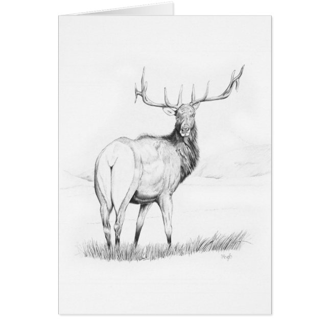 Cartão Indecisão (Frente)