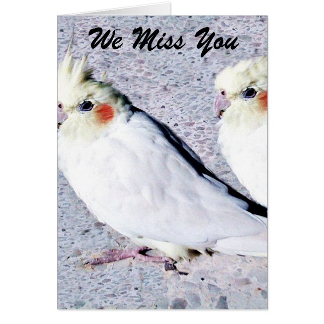 Cartão indefinido (Frente)