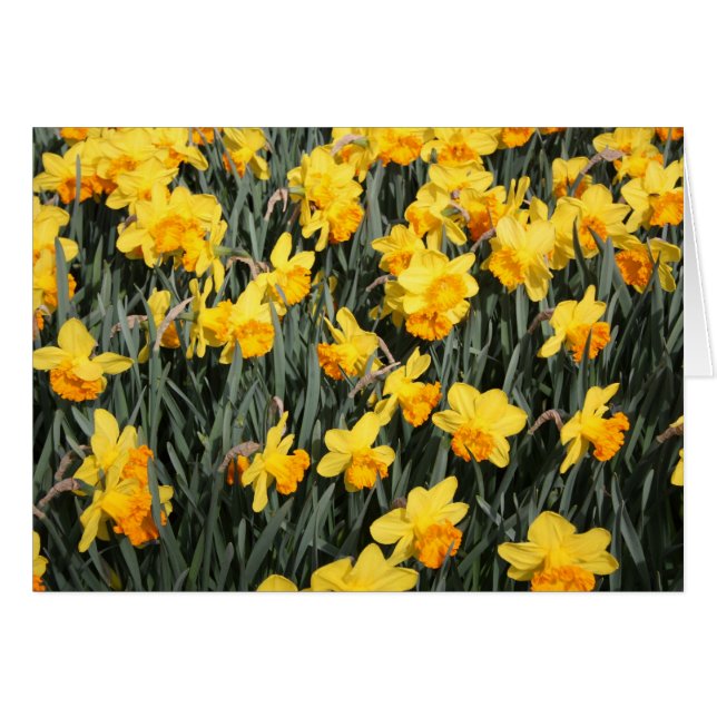 Cartão indefinido (Frente Horizontal)