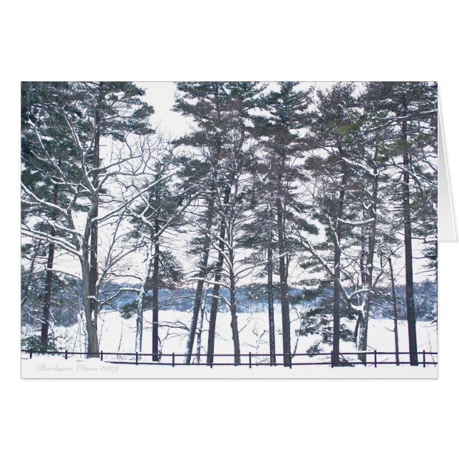 Cartão Indenização em todas as decepções (Frente Horizontal)