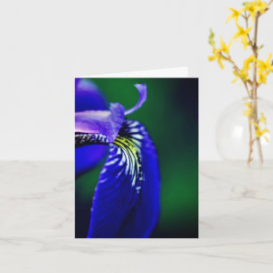 Cartão Indicador Azul Iris Flor Nota