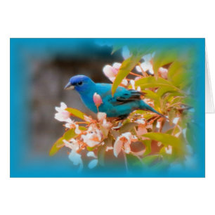 Cartão Indigo Bunting Blue