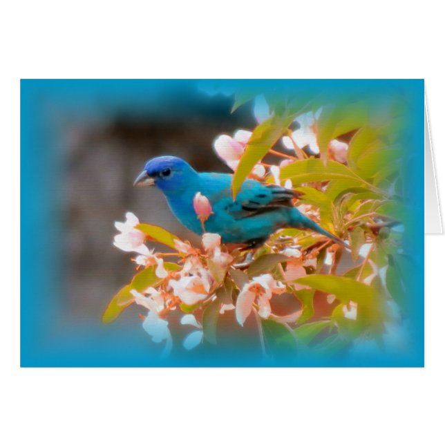 Cartão Indigo Bunting Blue (Frente Horizontal)