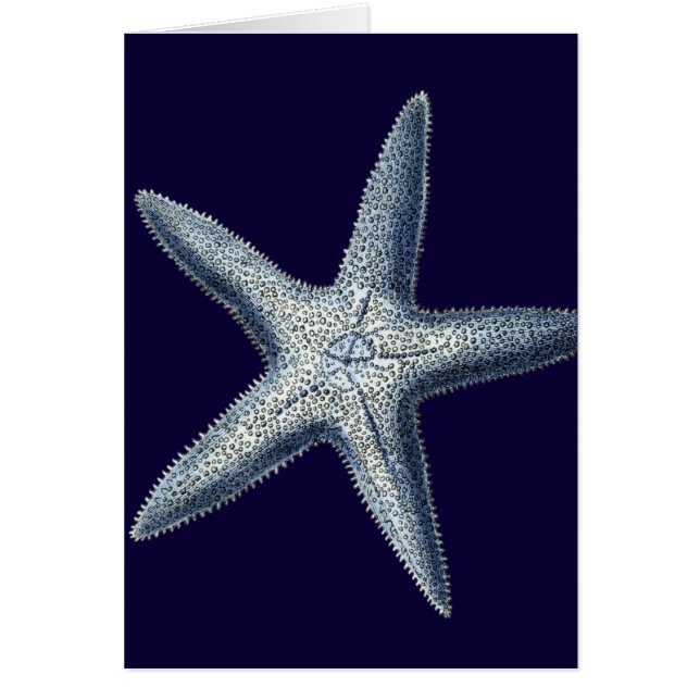 Cartão Indigo Shells IV (Frente)