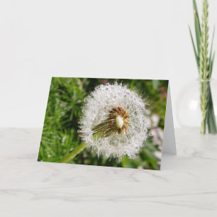 Cartão Indo para a Sementes