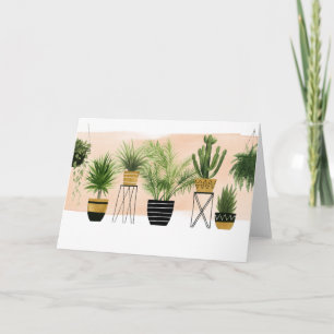 Cartão Indoor Oasis Collection