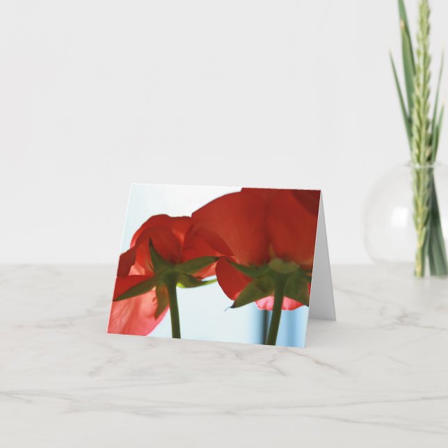 Cartão inferior da rosa vermelha (Frente)