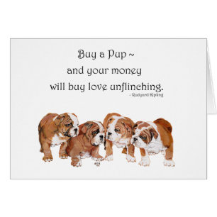 Cartão Inglês Buldoppy