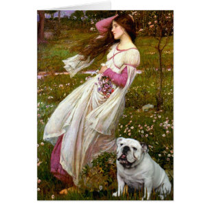 Cartão Inglês Bulldog 9 - Windflower