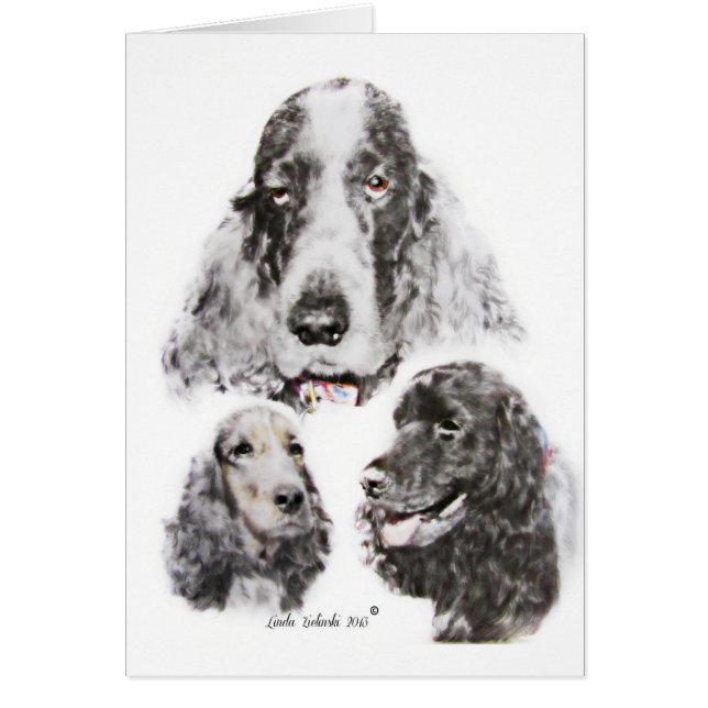 Cartão Inglês cocker spaniel (Frente)