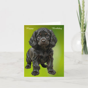 Cartão Inglês Cocker Spaniel
