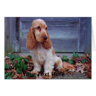 Cartão Inglês Cocker Spaniels