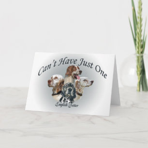 Cartão Inglês Setter não pode ter apenas uma placa