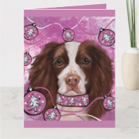 INGLÊS SPRINGER SPANIEL