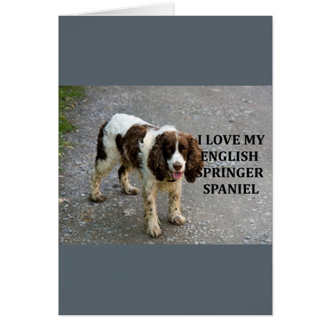 Cartão inglês springer spaniel lw love w picch (Frente)