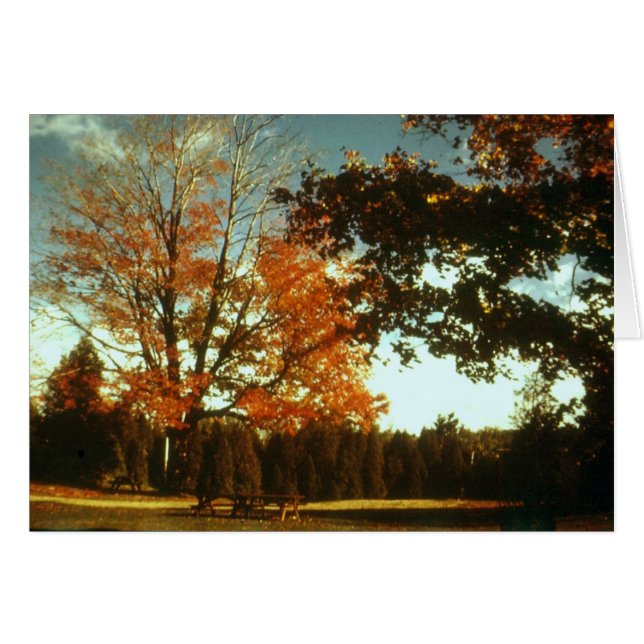 Cartão Início do outono (Frente Horizontal)