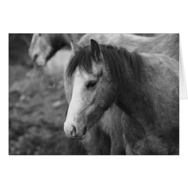 Cartão Innocência por CatMac (Frente Horizontal)