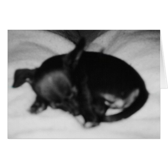 Cartão Inocência do sono (Frente Horizontal)