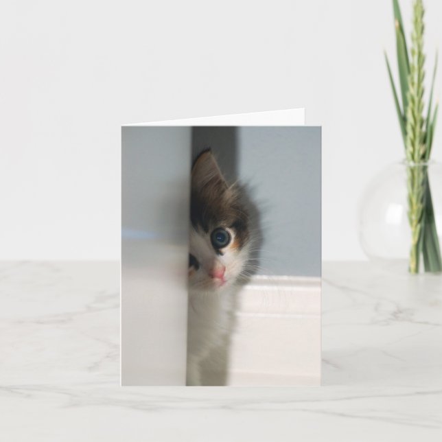 Cartão Inocência Notecard (Frente)