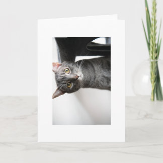 Cartão Inseto Bebê